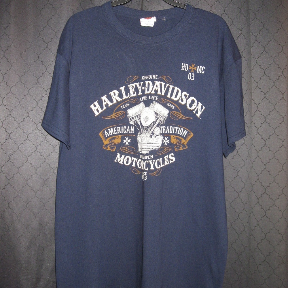 Harley-Davidson Mens T Shirt Ankara L - Picture 1 of 5